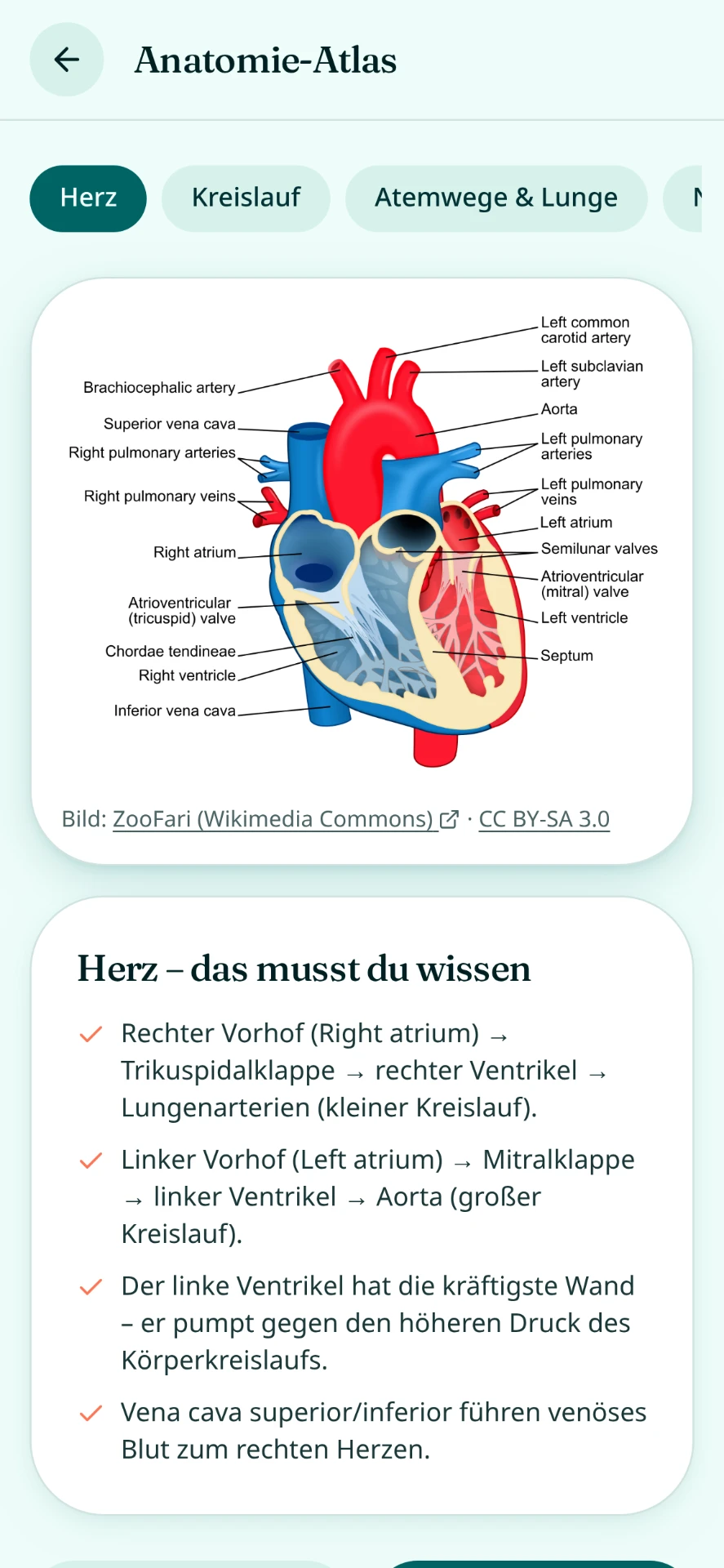 LernApp (digitales Training)